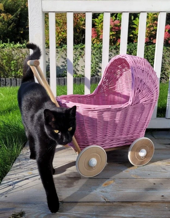 pierwszy wózek dla lalek