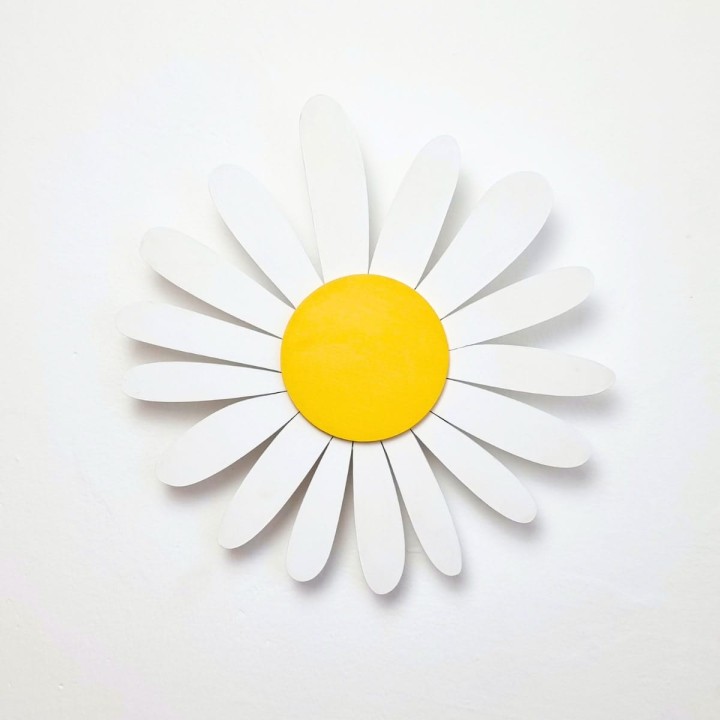 lampka z drewna stokrotka