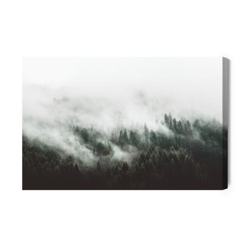Obraz Na Płótnie Moody Forest Landscape With Fog And Mist