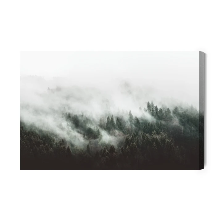 Obraz Na Płótnie Moody Forest Landscape With Fog And Mist