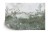 Fototapeta Tropical Trees And Leaves For Digital Printing Wallpaper, Custom Design Wallpaper - 3D