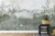 Fototapeta Tropical Trees And Leaves For Digital Printing Wallpaper, Custom Design Wallpaper - 3D