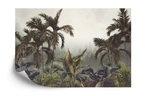 Fototapeta Tropical Trees And Leaves For Digital Printing Wallpaper, Custom Design Wallpaper - 3D