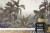 Fototapeta Tropical Trees And Leaves For Digital Printing Wallpaper, Custom Design Wallpaper - 3D