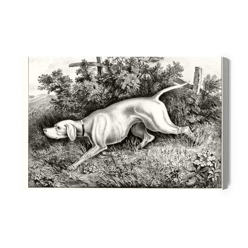 Obraz Na Płótnie Pies Myśliwski
