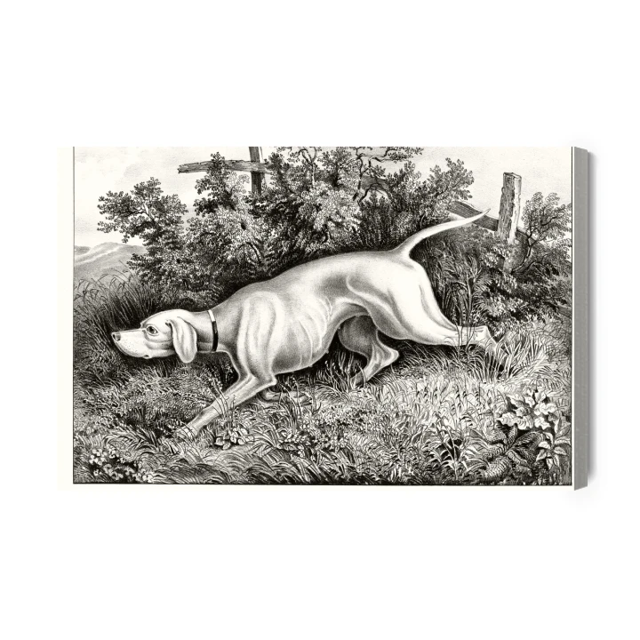 Obraz Na Płótnie Pies Myśliwski