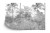 Fototapeta Tropical Trees And Leaves In Foggy Forest Wallpaper Design - 3D