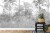 Fototapeta Tropical Trees And Leaves In Foggy Forest Wallpaper Design - 3D