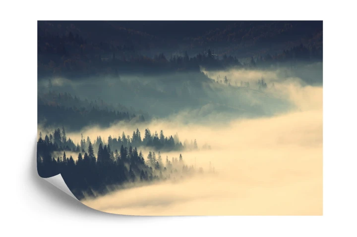 Fototapeta Amazing Autumn Sunrise Image In Mountains, Autumn Morning Dawn, Nature Colorful Background, Carpathians Mountains, Ukraine, Europe