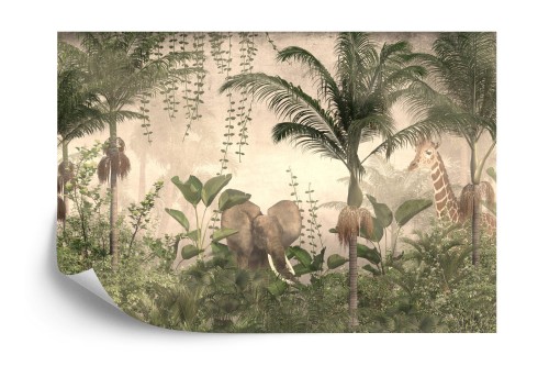 Fototapeta Tropical Trees And Leaves For Digital Printing Wallpaper, Custom Design Wallpaper - 3D