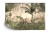 Fototapeta Tropical Trees And Leaves For Digital Printing Wallpaper, Custom Design Wallpaper - 3D