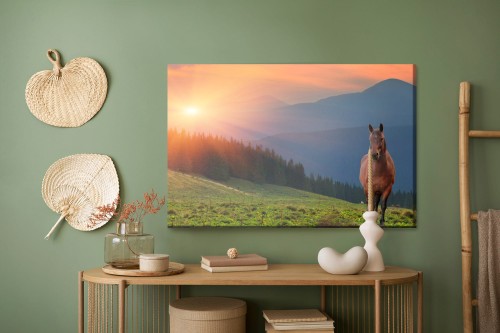 Obraz Na Płótnie Koń Na Tle Zachodu Słońca