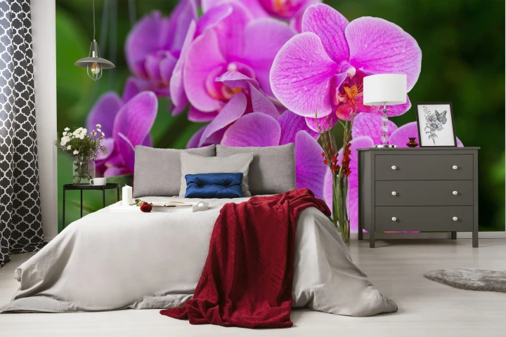 Fototapeta Kwiaty Orchidei 3D