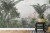 Fototapeta Tropical Trees And Leaves For Digital Printing Wallpaper, Custom Design Wallpaper - 3D