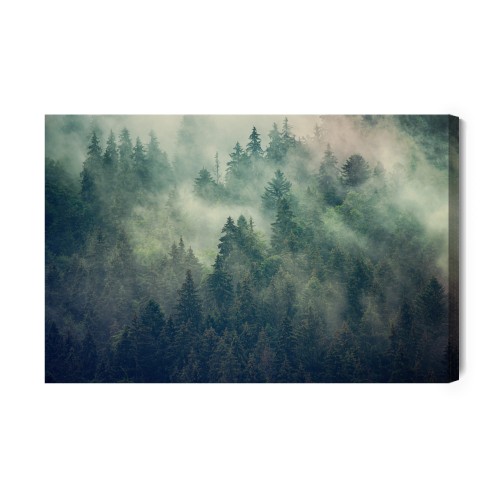 Obraz Na Płótnie Misty Landscape With Fir Forest In Hipster Vintage Retro Style