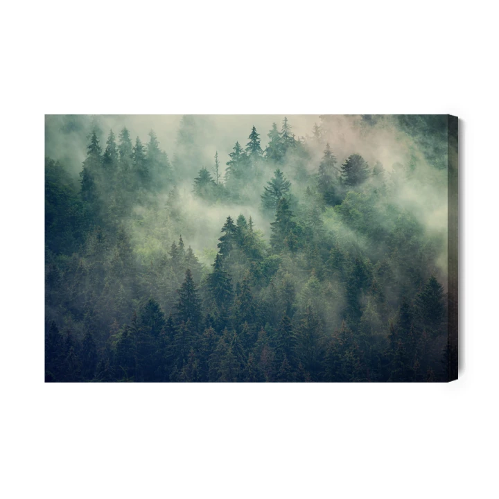 Obraz Na Płótnie Misty Landscape With Fir Forest In Hipster Vintage Retro Style