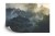 Fototapeta Landscape Of Asia Tropical Rainforest, Canopy Tree Of Jungle Green Forest Park Outdoor, Nature Environment Mountain View, Concept Of Freedom Relaxation In Holiday For Spa Yoga And Retreat