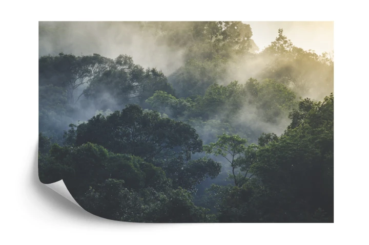 Fototapeta Landscape Of Asia Tropical Rainforest, Canopy Tree Of Jungle Green Forest Park Outdoor, Nature Environment Mountain View, Concept Of Freedom Relaxation In Holiday For Spa Yoga And Retreat