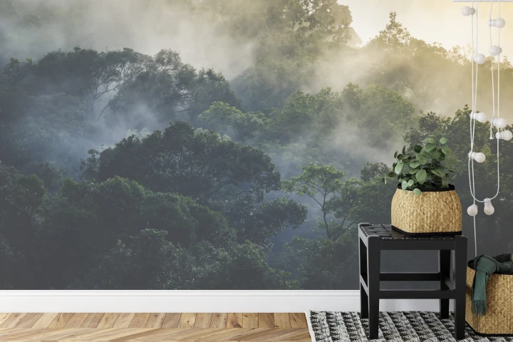 Fototapeta Landscape Of Asia Tropical Rainforest, Canopy Tree Of Jungle Green Forest Park Outdoor, Nature Environment Mountain View, Concept Of Freedom Relaxation In Holiday For Spa Yoga And Retreat