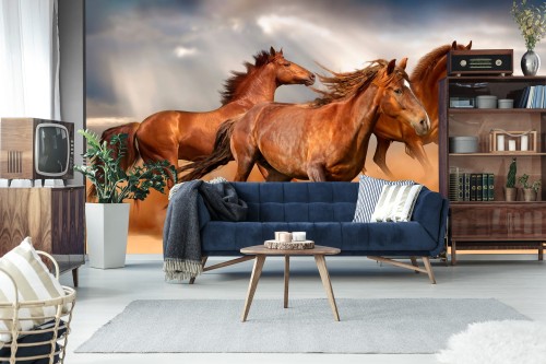 Fototapeta Konie Biegnące Po Pustyni