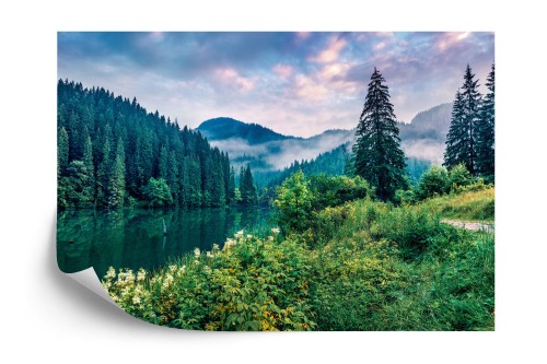 Fototapeta Dramatic Morning Scene Of Lacu Rosu Lake. Misty Summer Sunrise In Harghita County, Romania, Europe. Beauty Of Nature Concept Background.