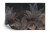 Fototapeta Tropical Trees And Leaves For Digital Printing Wallpaper, Custom Design Wallpaper - 3D