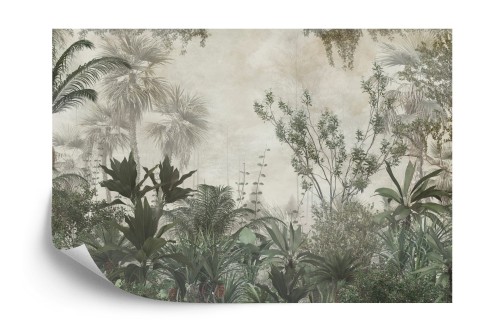 Fototapeta Tropical Trees And Leaves Wallpaper Design In Foggy Forest - 3D