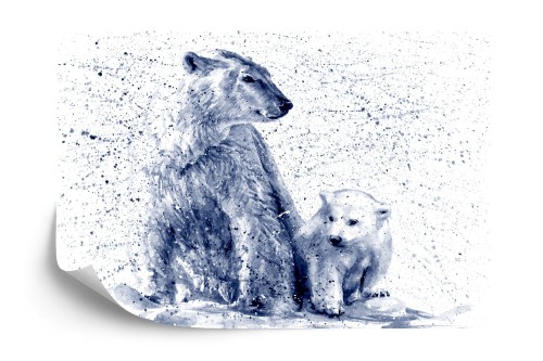 Fototapeta Niedźwiedzie Polarne