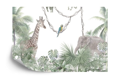 Fototapeta Tropical Trees And Leaves For Digital Printing Wallpaper, Custom Design Wallpaper - 3D