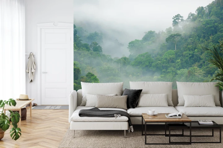 Fototapeta Rainforest Morning Fog