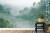 Fototapeta Rainforest Morning Fog