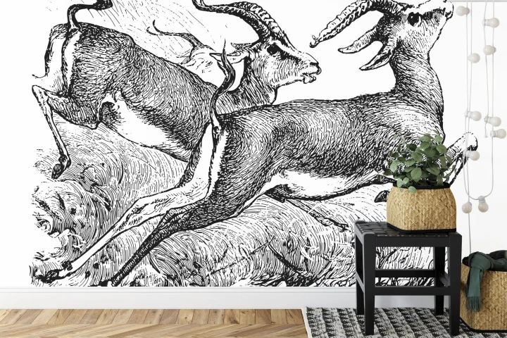 Fototapeta Gazele Vintage