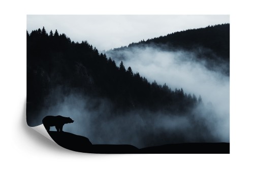 Fototapeta Niedźwiedź W Górach