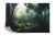 Fototapeta Dark Rainforest, Sun Rays Through The Trees, Rich Jungle Greenery. Atmospheric Fantasy Forest. 3D