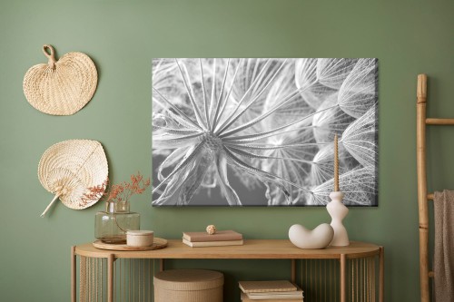 Obraz Na Płótnie Dmuchawiec Z Bliska