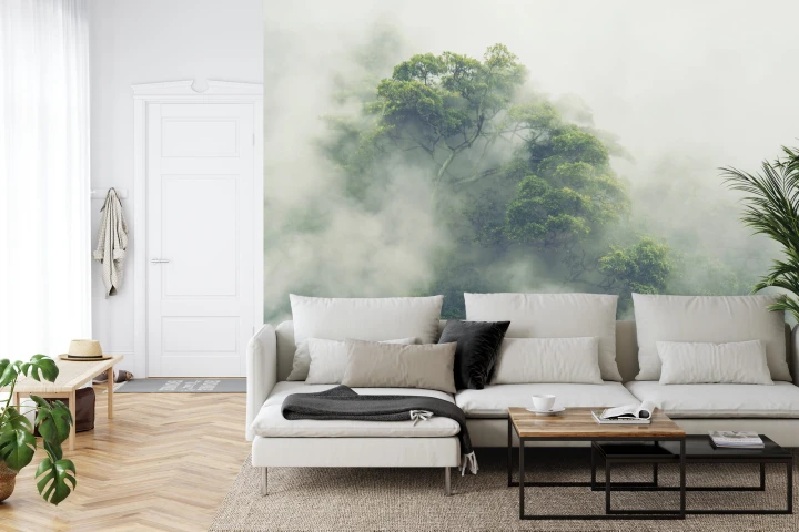 Fototapeta Tropical Forest In Japan, Nature Jungle With Green Tree And Fog, Concept Of Zin Therapy Comfortable Freedom Relaxing For Spa And Yoga, Eco Natural Sustainable Conservation