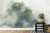 Fototapeta Tropical Forest In Japan, Nature Jungle With Green Tree And Fog, Concept Of Zin Therapy Comfortable Freedom Relaxing For Spa And Yoga, Eco Natural Sustainable Conservation