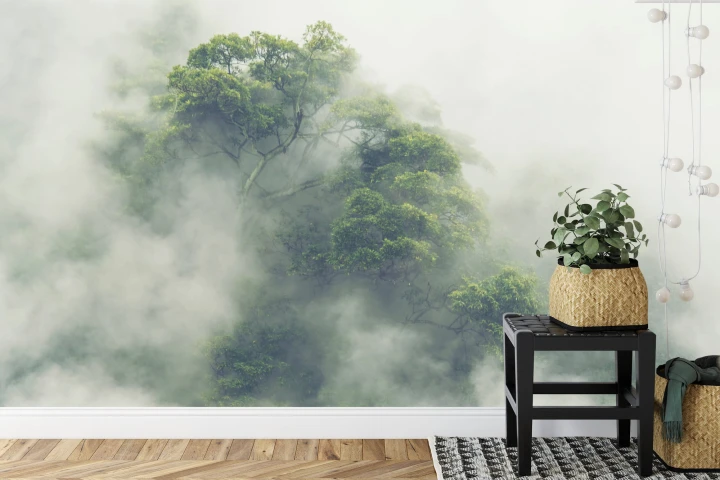 Fototapeta Tropical Forest In Japan, Nature Jungle With Green Tree And Fog, Concept Of Zin Therapy Comfortable Freedom Relaxing For Spa And Yoga, Eco Natural Sustainable Conservation