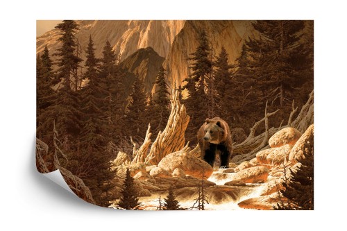 Fototapeta Niedźwiedź W Górach