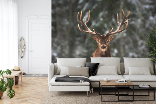 Fototapeta Jeleń W Lesie