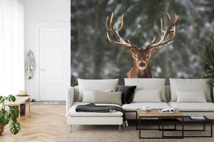 Fototapeta Jeleń W Lesie