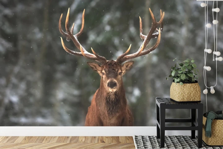 Fototapeta Jeleń W Lesie