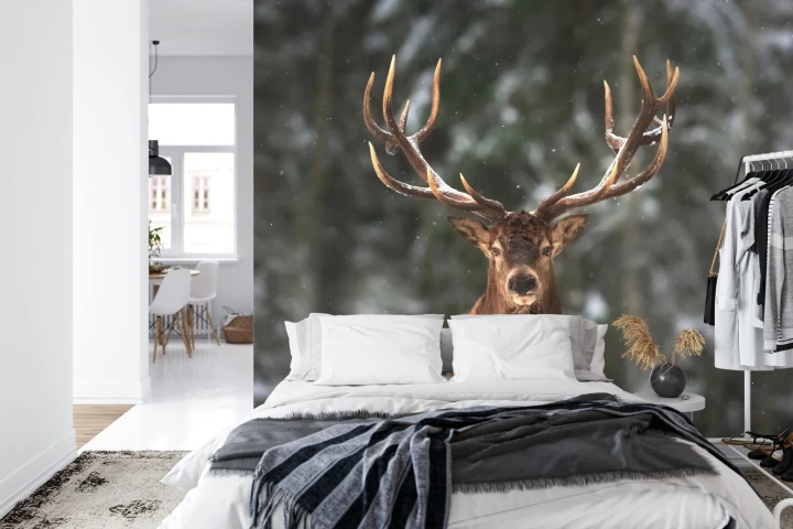 Fototapeta Jeleń W Lesie