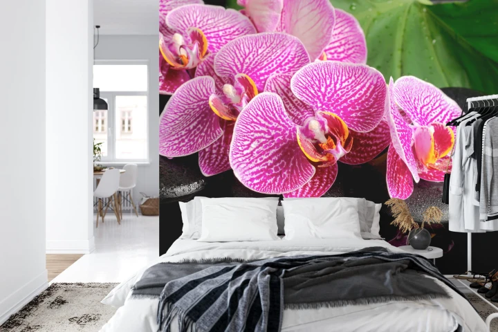 Fototapeta Orchidea Spa