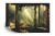 Fototapeta A Large Arch-Shaped Window, A Portal In The Dark Mystical Forest, The Sun's Rays Pass Through The Window And Trees, Shadows. Fantasy Beautiful Forest Fantasy Landscape. 3D