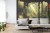 Fototapeta A Large Arch-Shaped Window, A Portal In The Dark Mystical Forest, The Sun's Rays Pass Through The Window And Trees, Shadows. Fantasy Beautiful Forest Fantasy Landscape. 3D