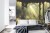 Fototapeta A Large Arch-Shaped Window, A Portal In The Dark Mystical Forest, The Sun's Rays Pass Through The Window And Trees, Shadows. Fantasy Beautiful Forest Fantasy Landscape. 3D