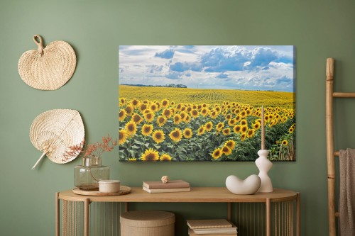 Obraz Na Płótnie Letni Krajobraz Ze Słonecznikami