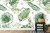 Fototapeta Liście Monstera