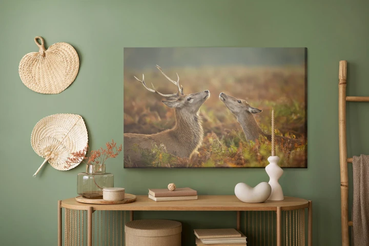 Obraz Na Płótnie Jeleń Z Łanią